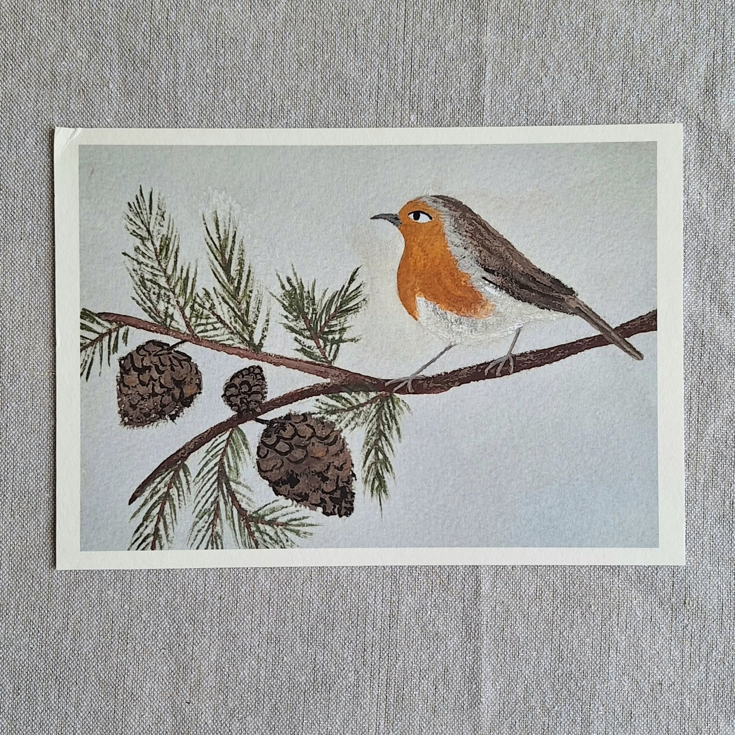 Pine Robin A5 art print